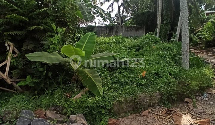Rice Field River View Villa Environment in Ubud