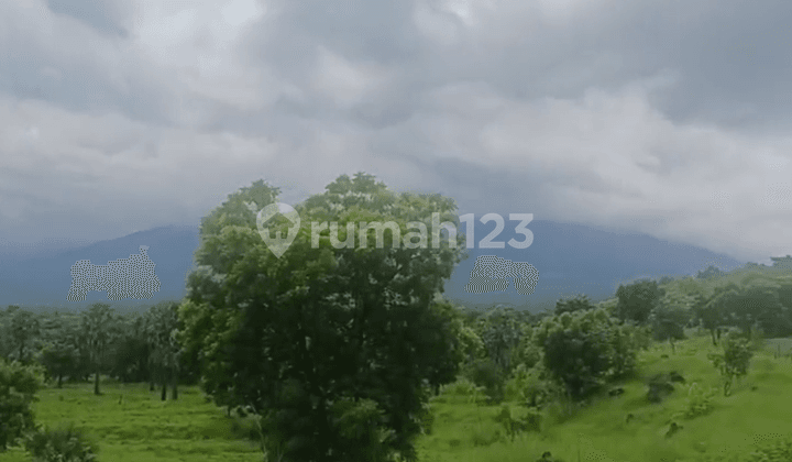 Land with Great View in Tulamben, Cheap Price, Ready to Build