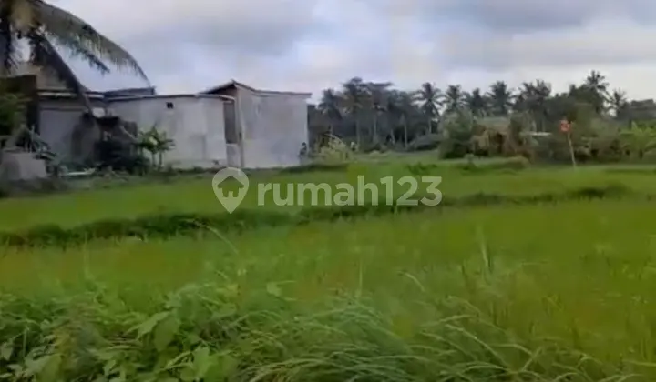 Tanah Dekat Central Ubud View Sawah Cocok Vila Pribadi