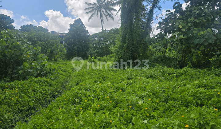 Pink Zone Rental Land Mas Ubud View Forest Rice Fields