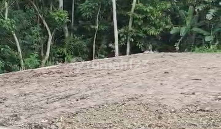Tanah Kavling Termurah Kota Gianyar View Hutan