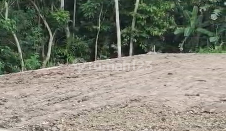 Tanah Kavling Termurah Kota Gianyar View Hutan