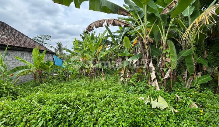 Dijual Tanah di Ubud Pejeng Bagus Strategis