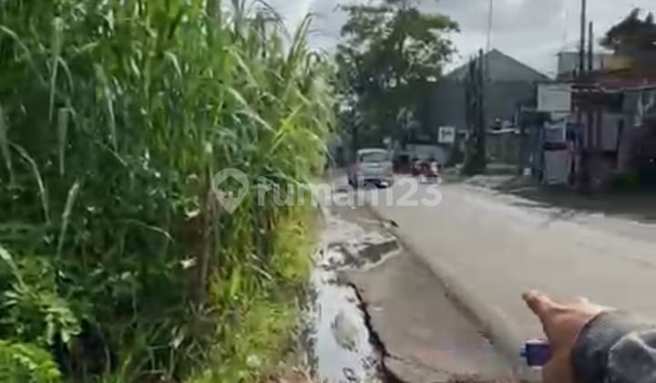 Tanah Zona Pink untuk Resto Cafe Vila Siap Bangun