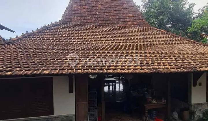 Land Banking Bonus House Padonan Canggu Ready to Use