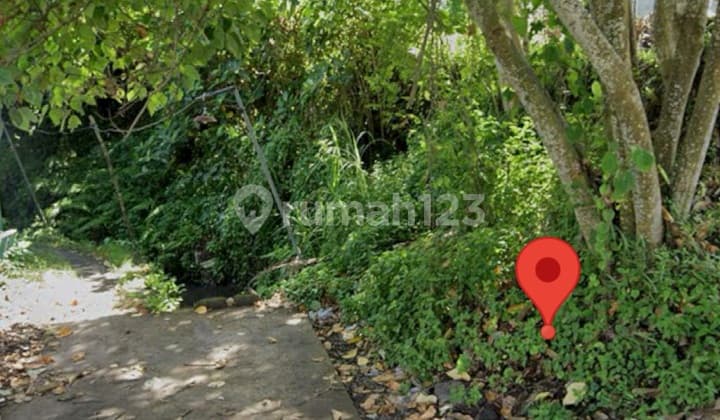 Tanah Sewa Over Tahun Cocok Resto Vila View Sawah