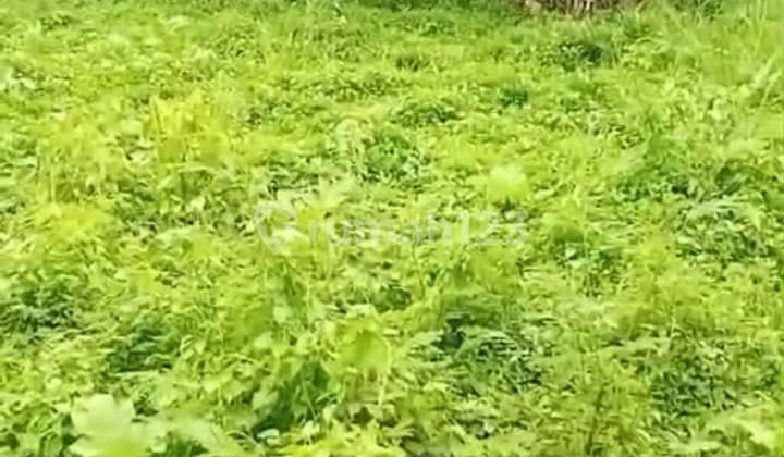 Tanah Murah Bitera Siap Bangun Jln Mobil Zona Kuning