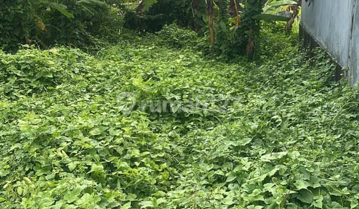 Tanah Siap Bangun Zona Kuning Dalung Dekat Canggu