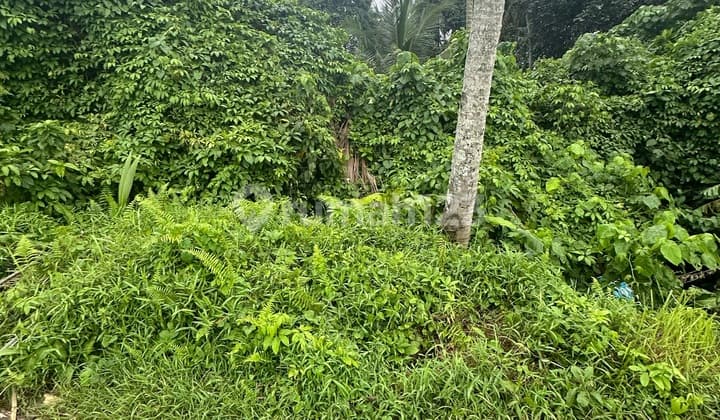 Tanah Murah View Hutan Sawah Jalan Mobil Siap Bangun