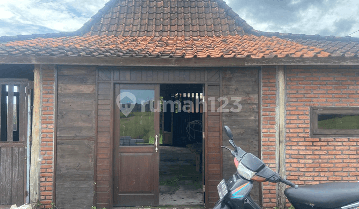 Rumah Kayu View Sawah Cocok Untuk Rental