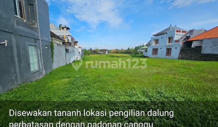 Tanah Sewa Padonan 5 Are Over 19 Th Harga Murah