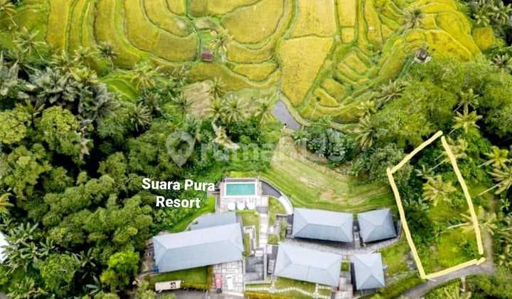 Tanah View Sawah Terasering Super Keren Harga Murah