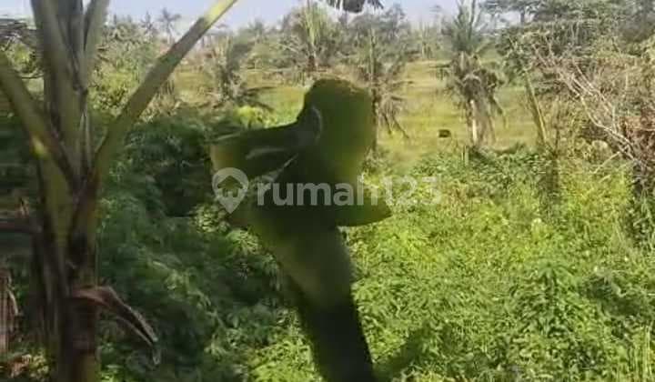 Dijual Tanah Lingkungan Villa di Mas Ubud