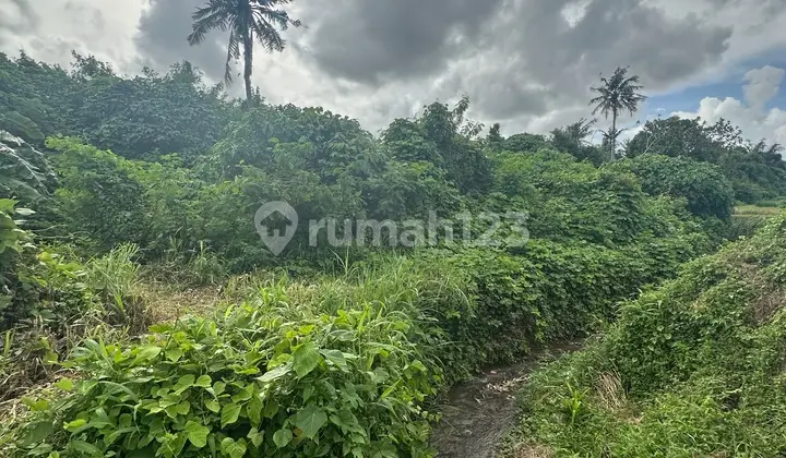 Tanah Termurah di Batubulan View Sungai Hutan Sawah Keren