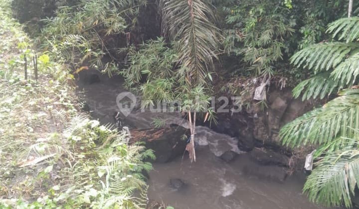 Tanah Murah View Hutan Sungai Cocok Vila Rental