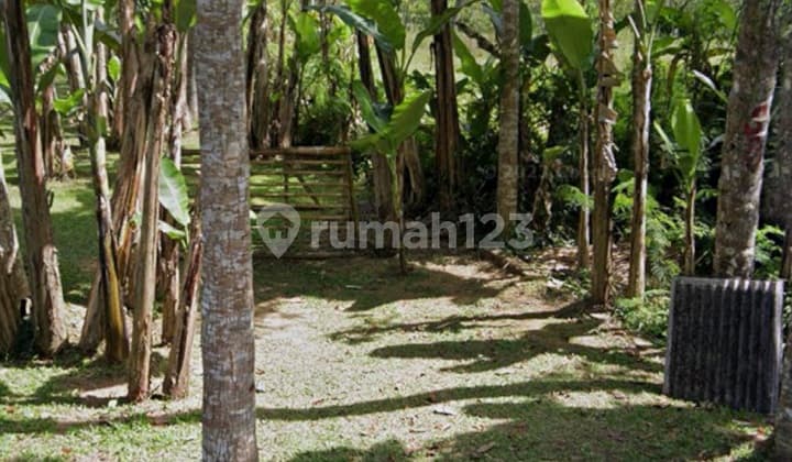 Affordable Land in Yellow Zone with Forest View, Ready to Build Villa