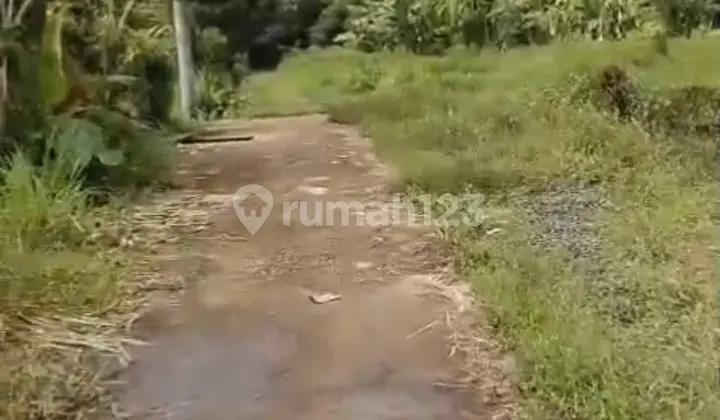 Cheap Land in Central Ubud Ready to Build Villa or Hotel