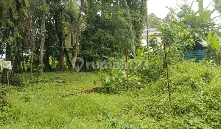 Dijual Tanah Kecil Lokasi Singakerta di Area Villa Bagus