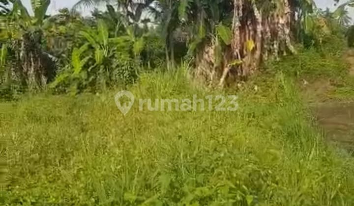 Cheap Land with Good View Suitable for Private Villa Ready to Build