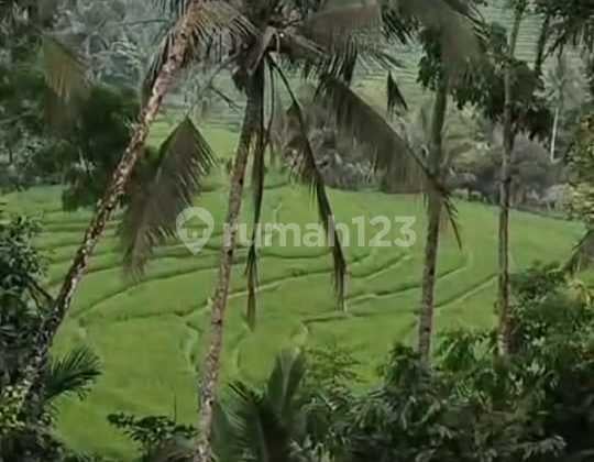 Dijual Tanah Cocok untuk Investasi di Pupuan Selemadeg Tabanan