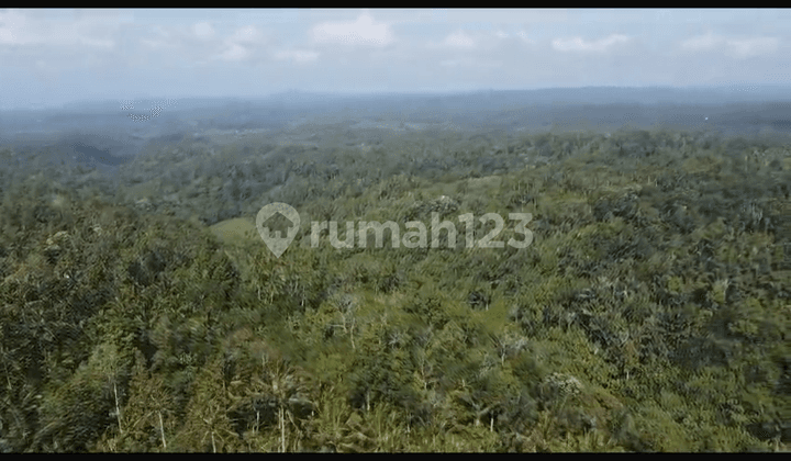 Tanah Kebuh Durian View Laut Udara Sejuk Untuk Investasi