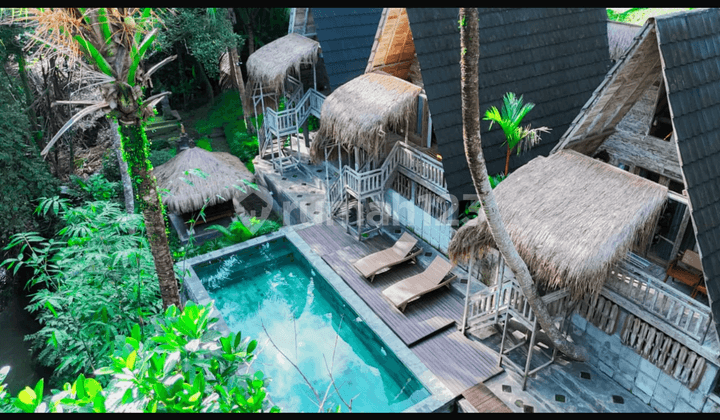 Cheap Rental Villa with 4 Units, Spacious Land, River and Forest View