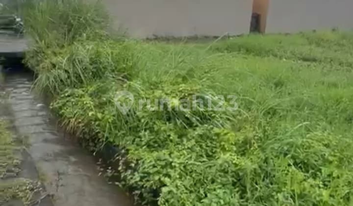 Tanah View Sawah Cantik Cocok Vila Rental Harian