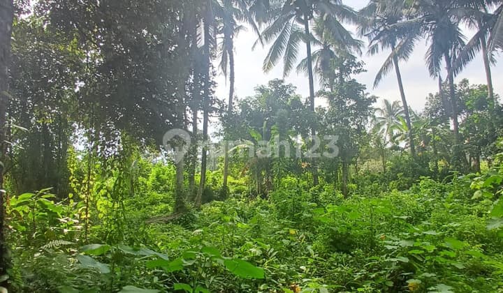 Dijual Tanah Area Pejeng Kangin Lingkungan Villa