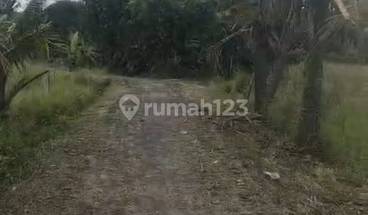 Dijual Tanah untuk Invest di Area Br Kutri Singapadu