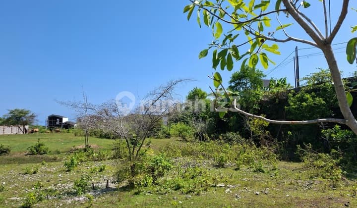 Tanah Lokasi Strategis Di Ungasan Pecatu Harga Bersaing