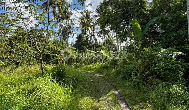 Dijual Tanah di Area Pejeng Ubud Bagus View Sawah