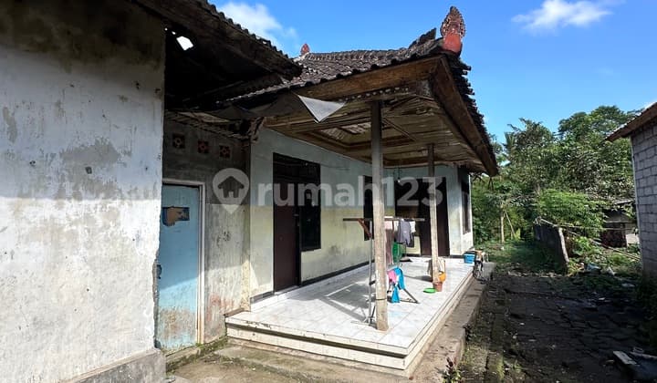 Rumah Pinggir Jalan Raya Super Murah Cocok Bisnis Guesthouse
