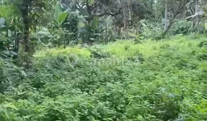 Tanah Sewa Zona Kuning View Sungai Hutan untuk Villa