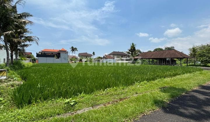 Affordable Yellow Zone Land Suitable for Private Villa