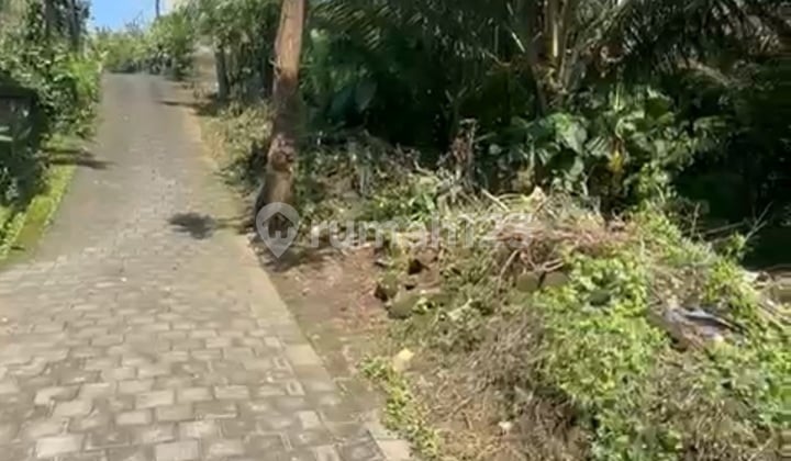 Yellow Zone Leasehold Land Cheap Price Ready to Build Villa