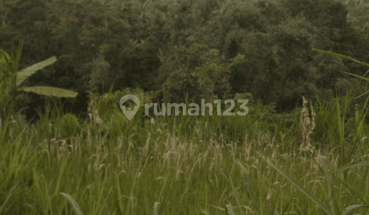 Tanah View Keren Wanagiri Harga Murah Siap Bangun