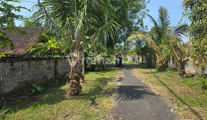 Dijual Tanah Dekat Ubud Area Kemenuh Lingkungan Hotel