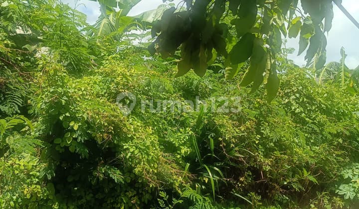 Sold Land on Main Road Mahendradata Width