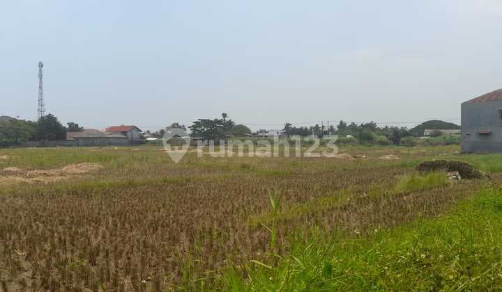 Turun Harga dari 12jt per meter jadi 11jt per meter. Tanah di Legok
Karawaci
Gading Serpong
Tangerang
Banten 2000m2. SHM