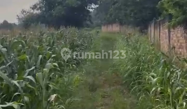 Jarang Ada.. Lokasi Bagus Dan Strategis. Turun Harga Dari 2jt Per Meter Jadi 1.7 Per Meter.posisi Ada Di Pinggir Jalan Lintas Sumatera, Lebar Akses Jalan Untuk 2 Arah Bisa Dilewati Truk Kontainer. Cocok Untuk Pabrik Air Minum Karena Ada Sumber Mata Air. C