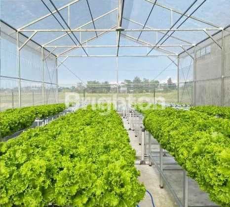 Greenhouse Plus Rumah Jaga Strategis Kepanjen