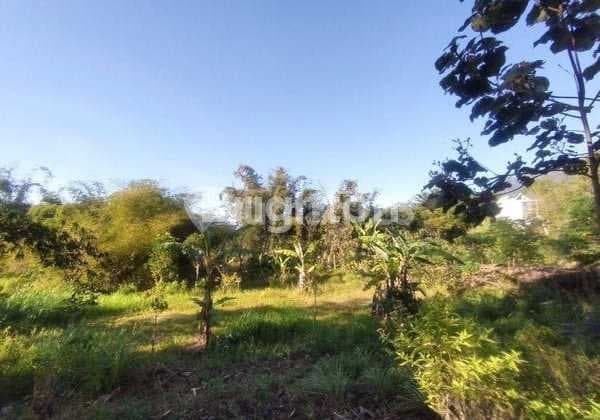 Tanah Luas Strategis Jalibar Batu Dekat Wisata