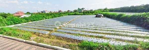 Strategic Large Land in Front of Thursina International School.