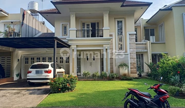 Sutera Olivia 420Mtr