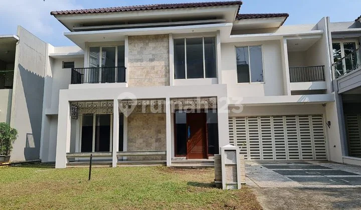 Renata Aurora Main Silk Best