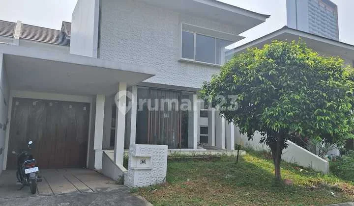 Sutera Victoria Palma Aruna 5M