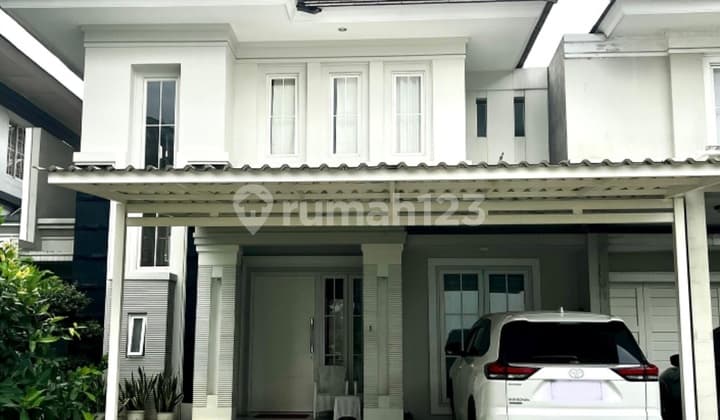 OLIVIA HOUSE 240 CHEAPEST