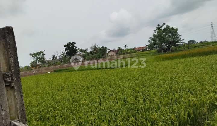 Di Jual Tanah Lokasi Serang Cikande Luas 15 Hektar