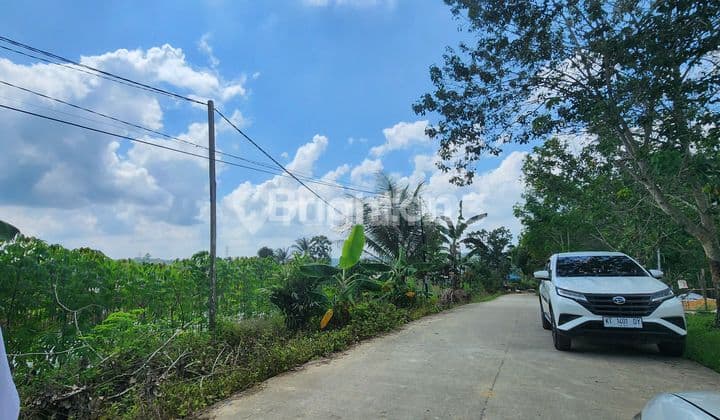 MURAH TANAH DI IKN BUTUH DANA SEGAR