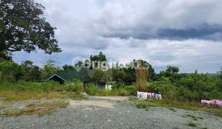 EMPTY LAND IN COMMERCIAL AREA NEAR PT BHUMA